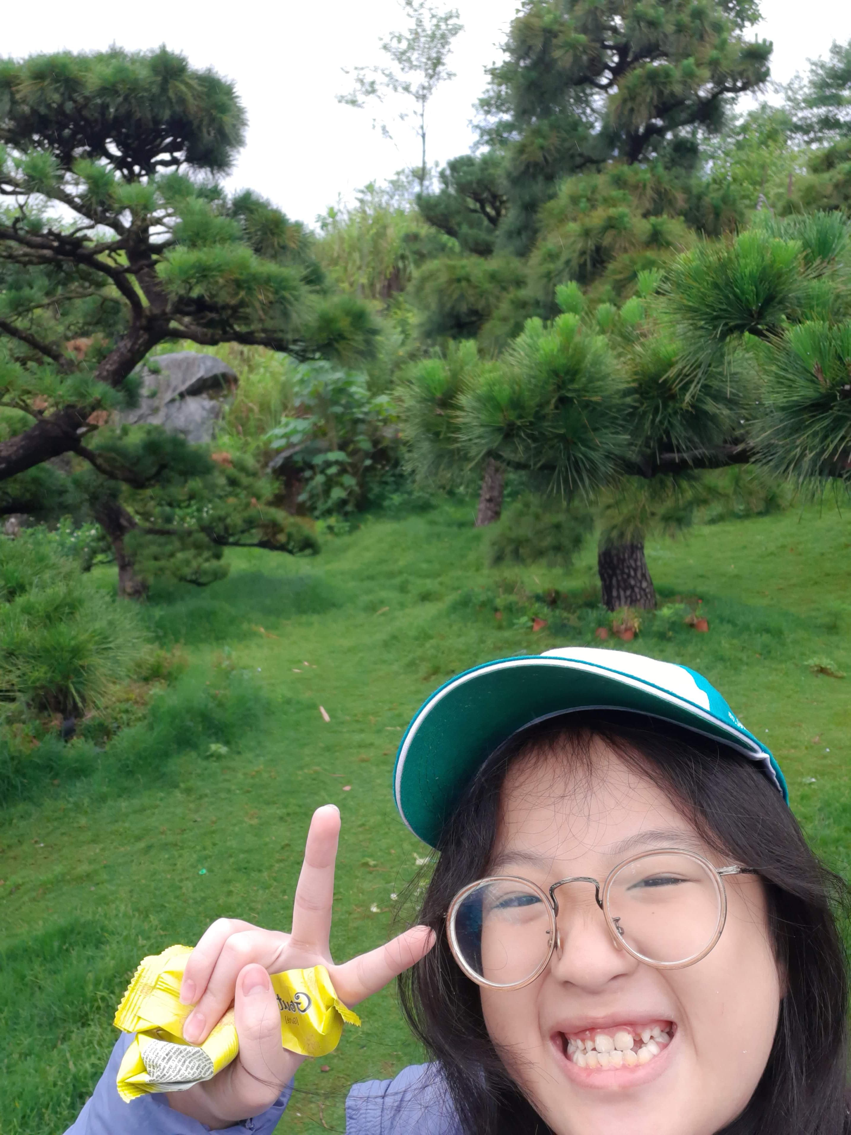 Fansipan 1